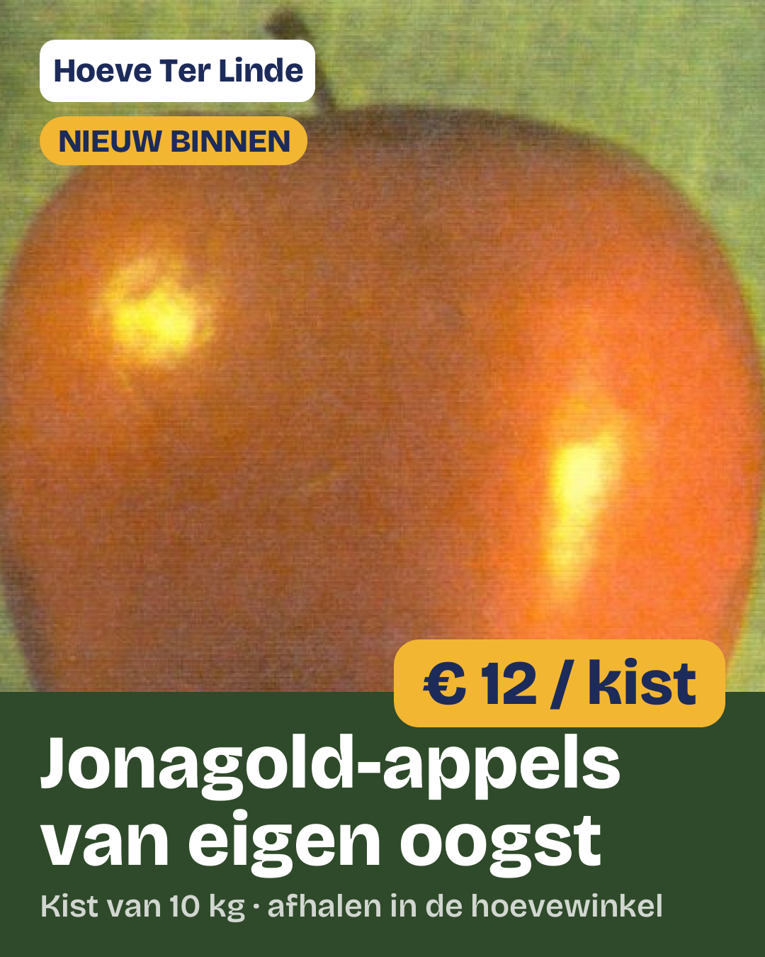 Portrait 4:5